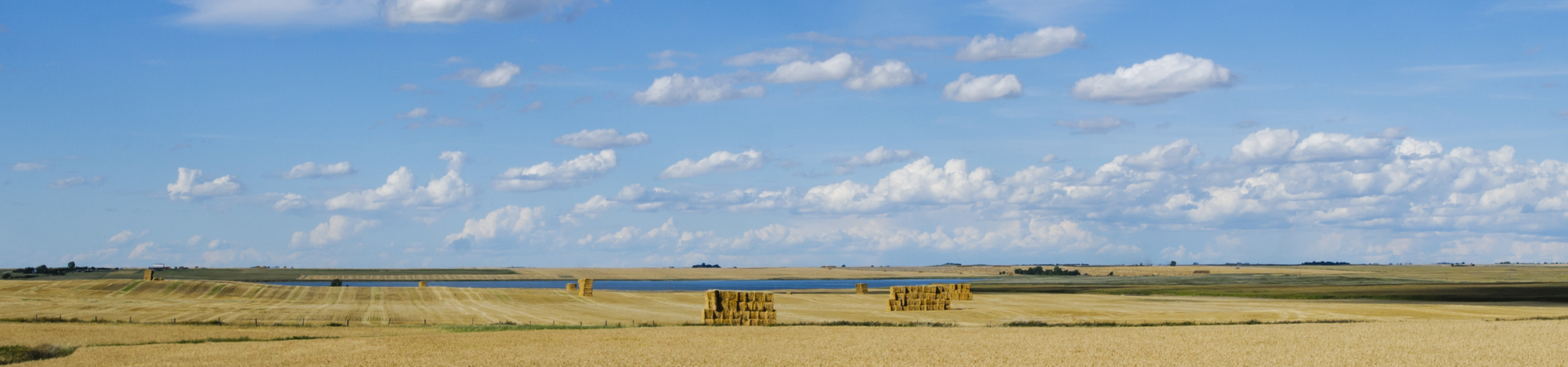 Rural Areas & Fast, Reliable Internet: Why Don't They Mix?